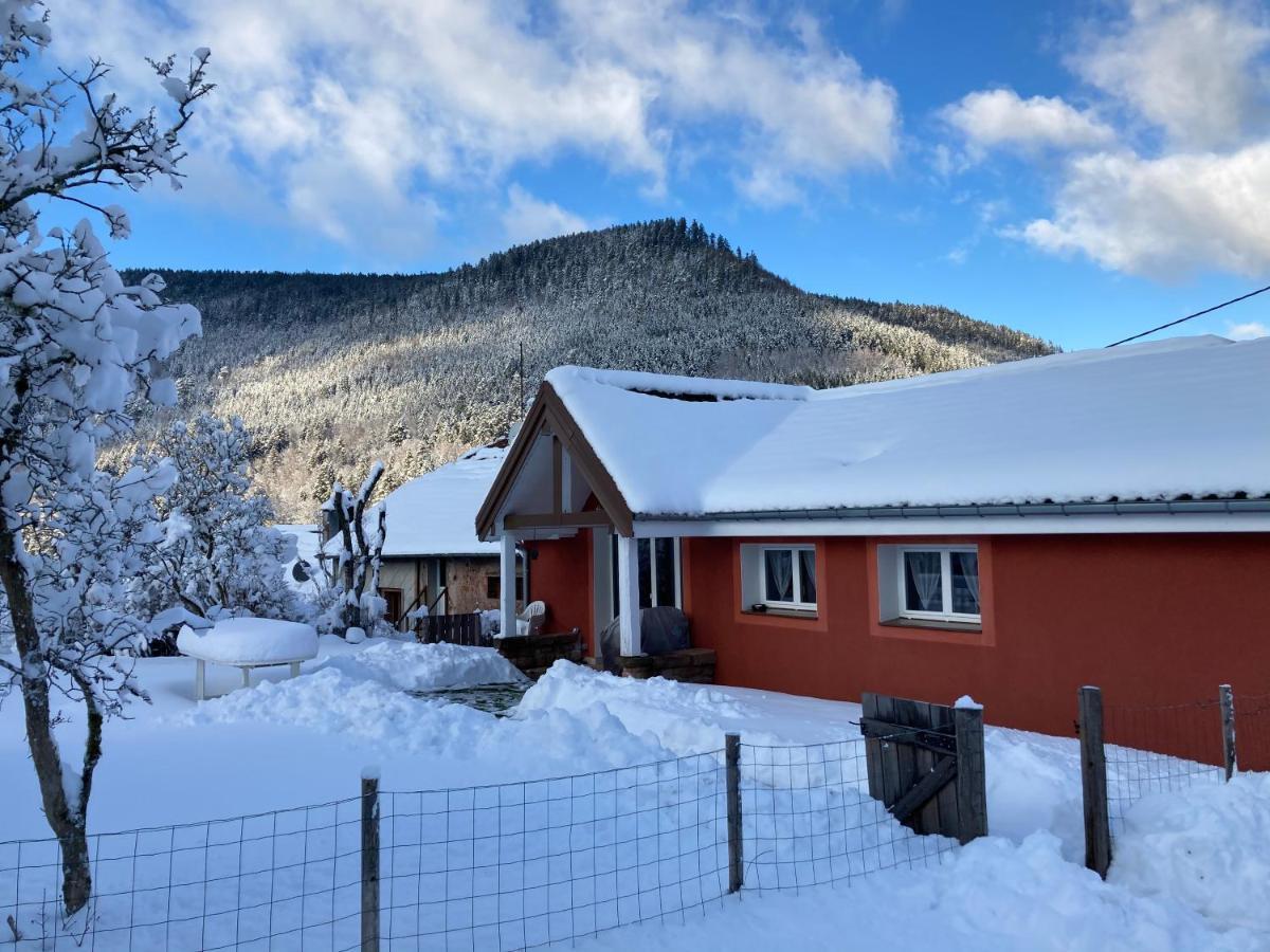 Gite Le Cerf Volant Raon-sur-Plaine Eksteriør billede